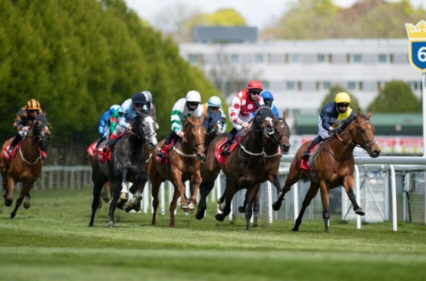  Betting and Gaming Council Invests £455 Million in British Horseracing