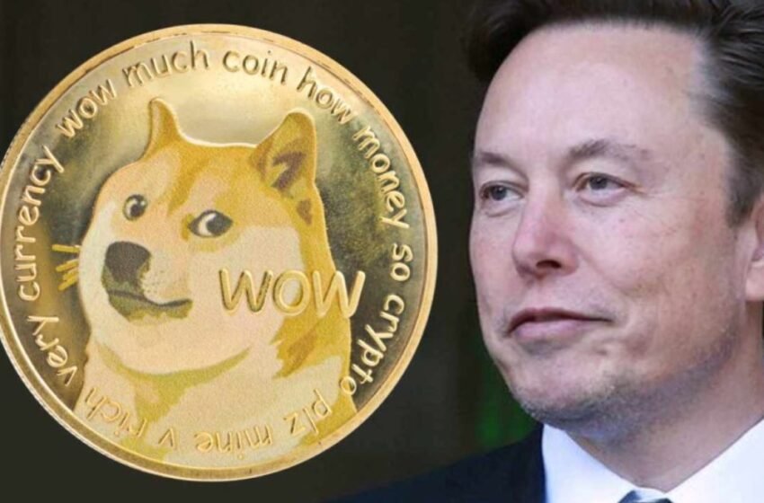  Elon Musk’s Legal Team Urges Dismissal of Dogecoin Lawsuit