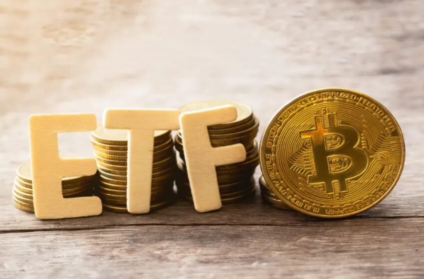  ProShares and Bitwise Aim for Bitcoin and Ether Equal Weight ETF