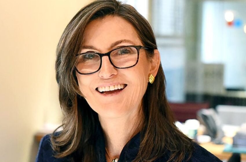  Cathie Wood Envisions Bitcoin and AI Synergy Revolutionizing Business