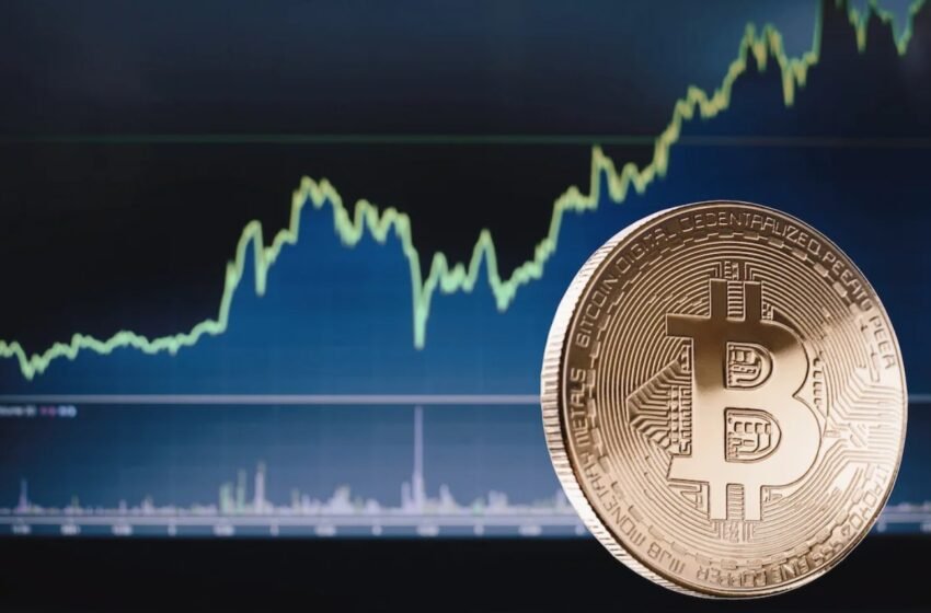  Report Reveals The Journey of 88,200 Crypto Wealth Builders