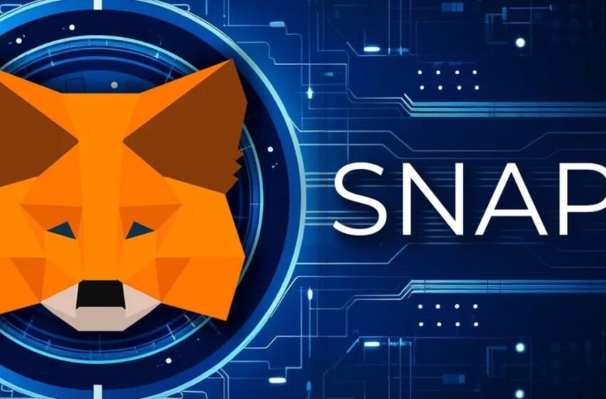  MetaMask Revolutionizes Crypto Wallets with “Snaps” Feature