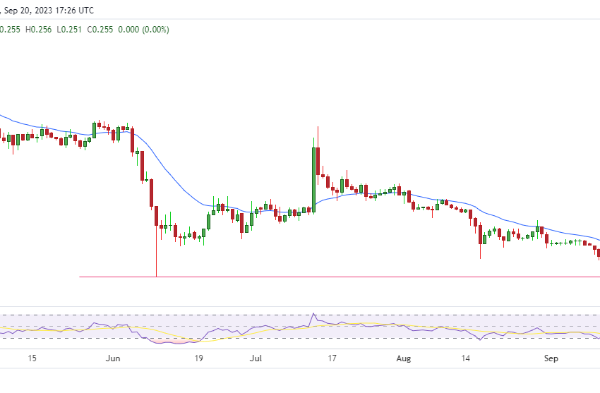  Cardano price: ADA poised as bears stay put