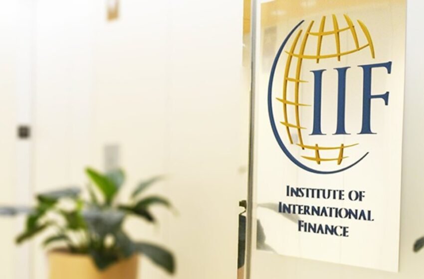  IIF Examines Digital Euro, Highlights 7 Key Areas of Concern