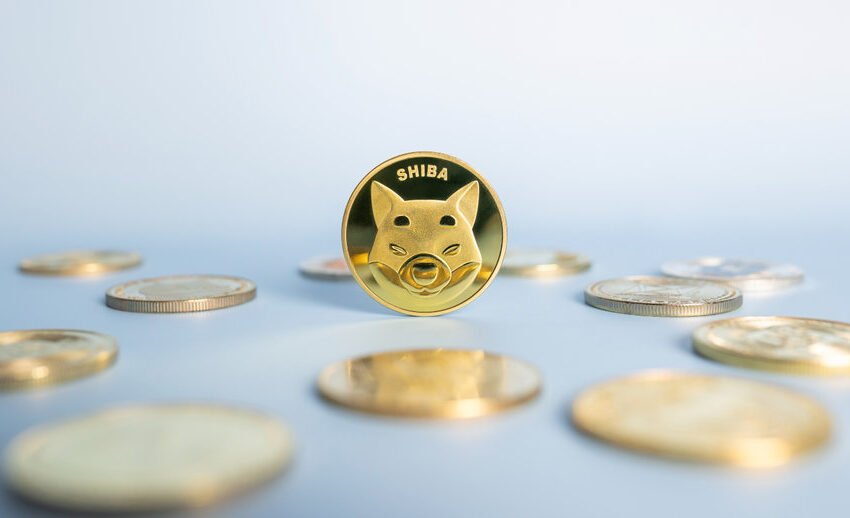  Shiba Inu struggles amidst whale exodus as Memeinator presale takes off