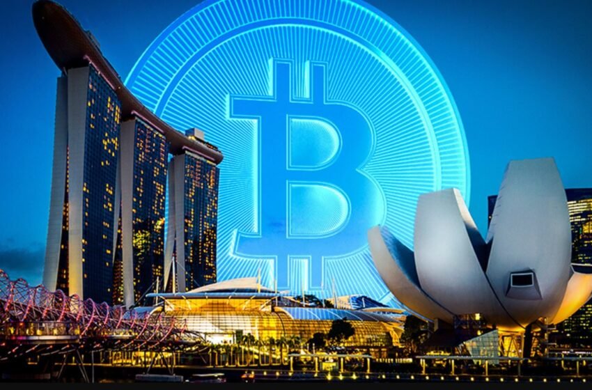  Singapore Establishes Forces to Combat Crypto Crimes