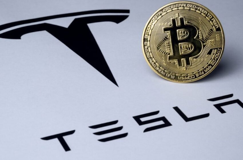  Tesla Holds Steady with Bitcoin as Earnings Decline