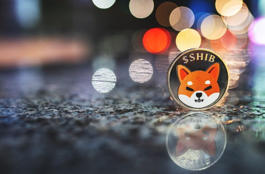  SHIB burn rate soars, PEPE market cap nears $500M, as Memeinator token presale thrives
