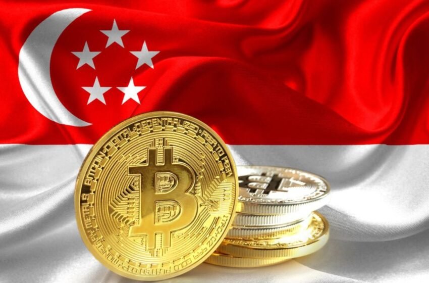 Singapore Signals Exclusion of Private Cryptocurrencies from Monetary Landscape