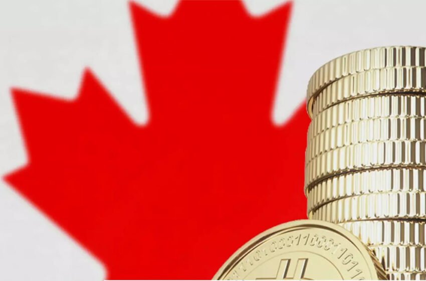  Coinsquare and Bitbuy Lead the Crypto Charge in Canada