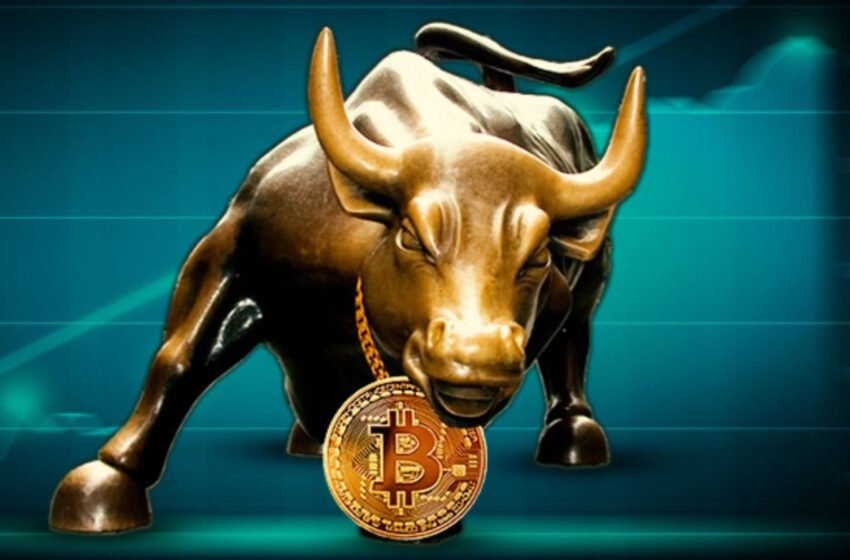  Bitwise CIO Foresees Prolonged Bull Market and All-Time Highs for Bitcoin