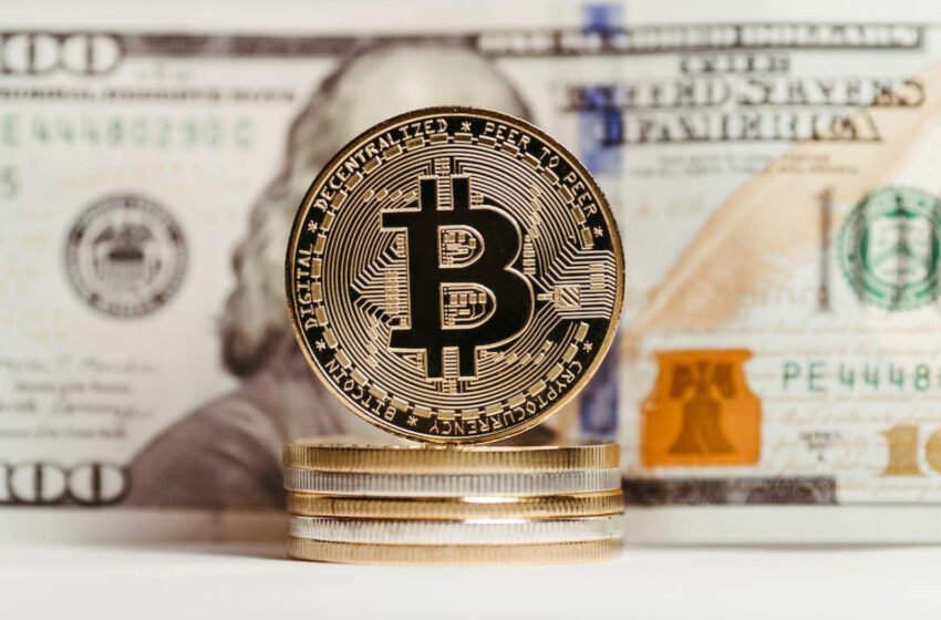  Crypto Hedge Funds Anticipate Bullish Turnaround in 2024