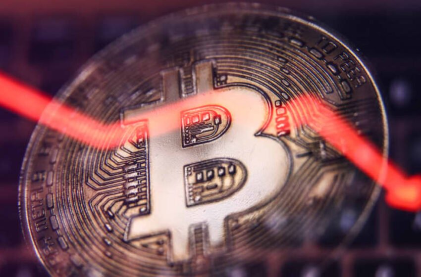  Bitcoin’s Uphill Trend Defies Traditional Bubble Notions