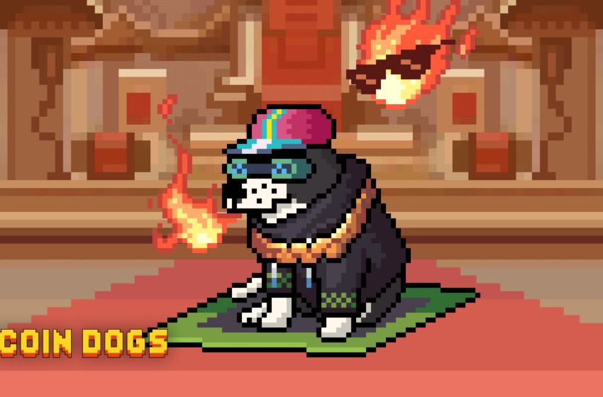  StarkWare adjusts STRK unlock schedule as Bitcoin Dogs soars