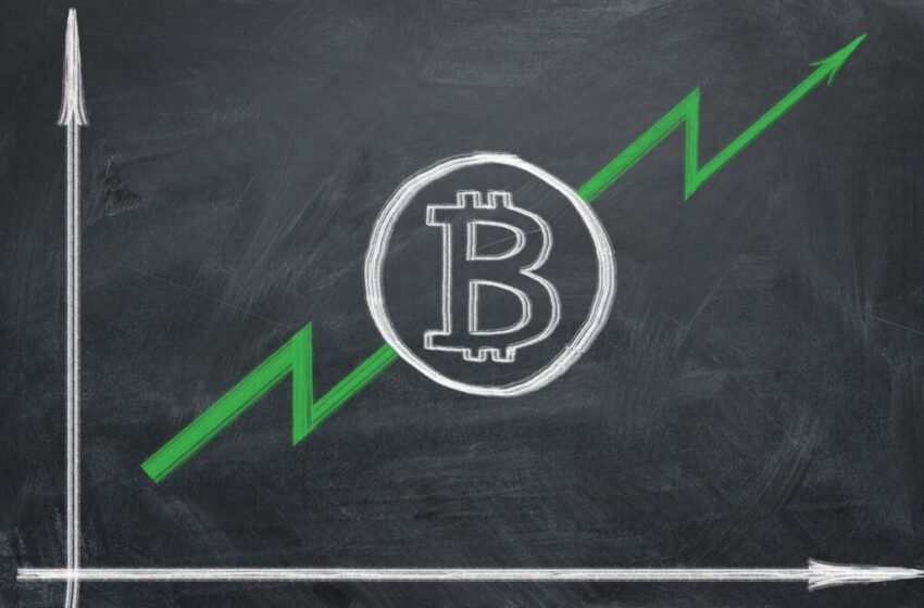  “Bitcoin Is the Birth of a New Economy that Favors Peaceful Exchange”