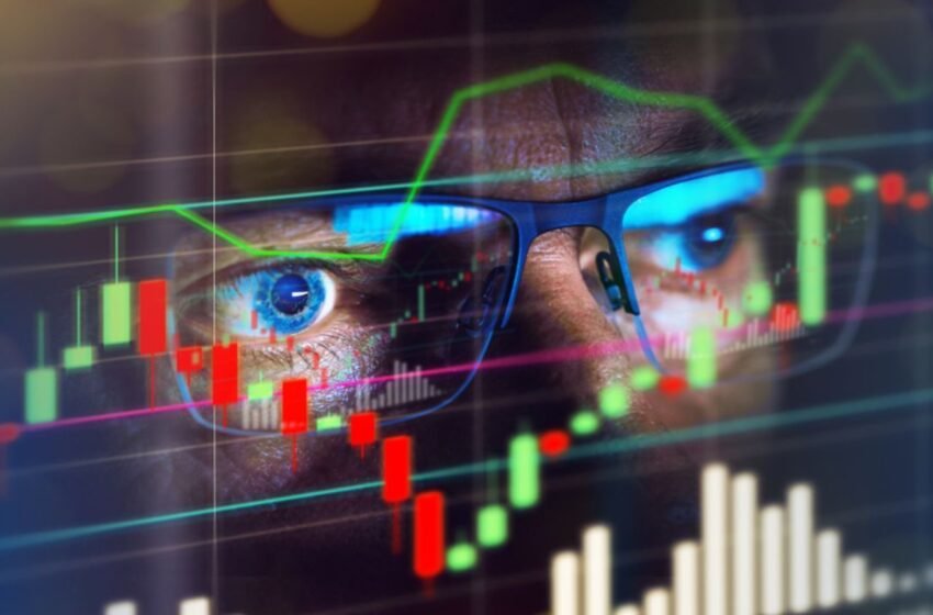  Myro and Bonk Tokens Soar Despite Frog With Hat Meme Coin Hype