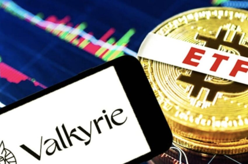 Valkyrie Breaks Ground with Innovative Bitcoin ETF Custody Strategy