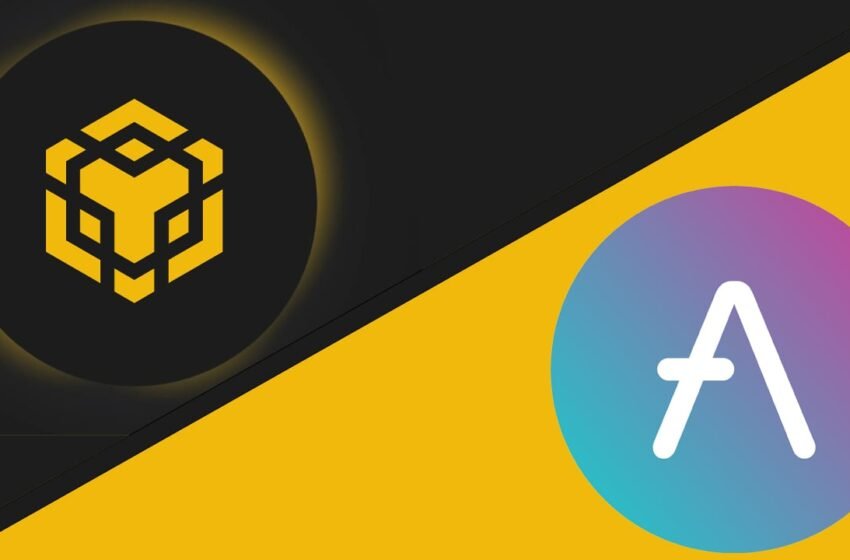  Decentralized Money Market Protocol Aave Joins BNB Chain’s Defi Landscape