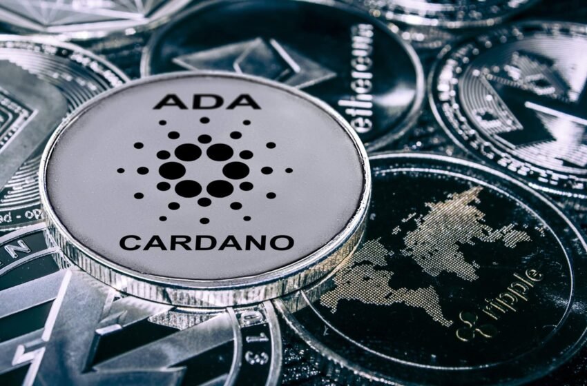  ADA near key level as analyst says Cardano faces correction