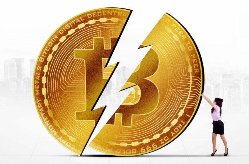  April 2024 Bitcoin Halving Sparks Worldwide Curiosity, Data Reveals