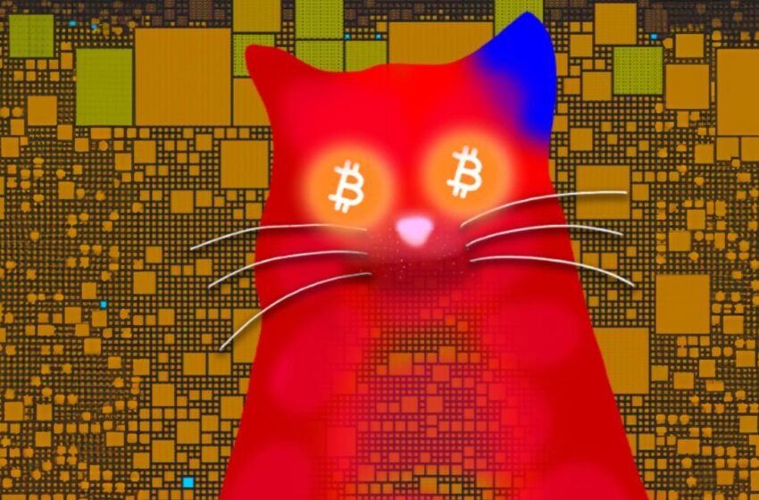  Taproot Wizards Reveal Bitcoin’s Onchain Payment Struggles During $15M Sale