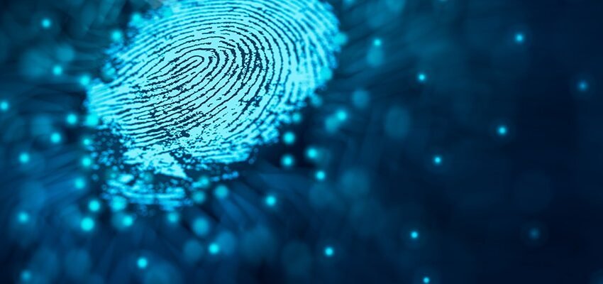  Palm Scanning Digital Identity Gets Boost from Polygon and Animoca