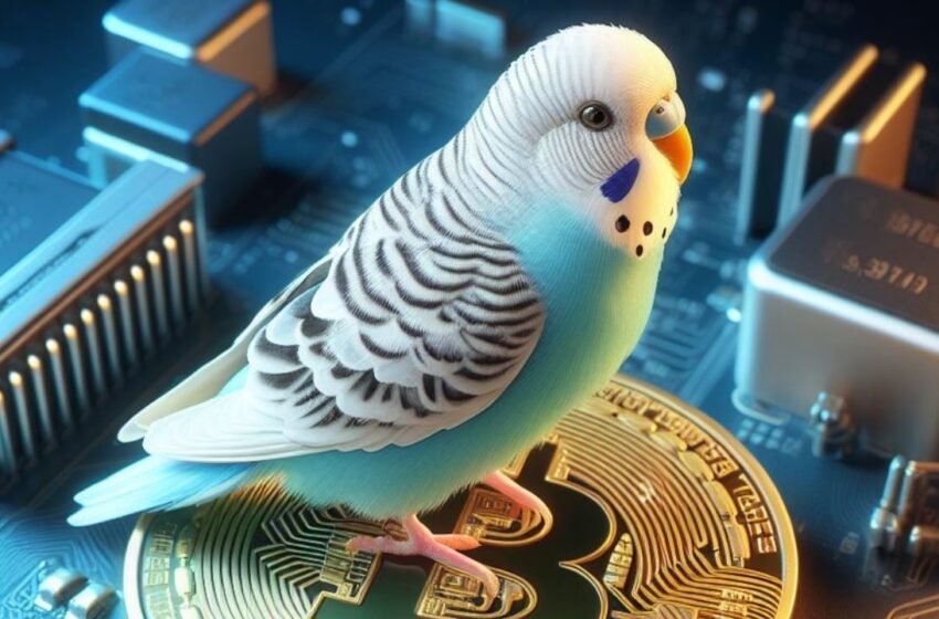  Ordinals Market Registers Record Sale: Bitcoin Budgie Changes Hands for Over $1.1 Million in BTC