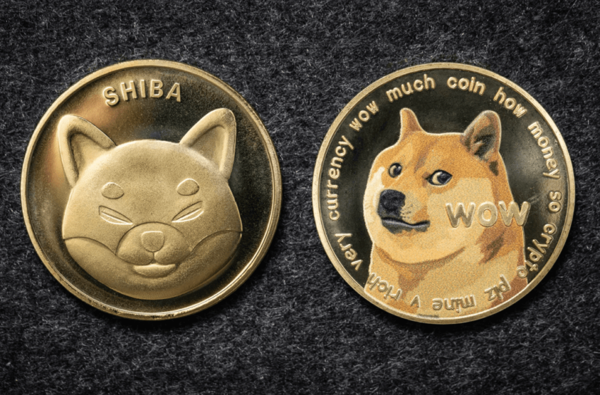  Dogecoin and Shiba Inu Pumping Again as Dogecoin20 ICO Nears 2M