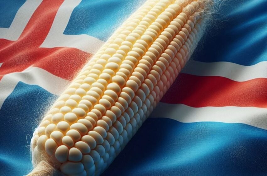  Iceland’s Prime Minister Vows to Prioritize Food Security Over Bitcoin