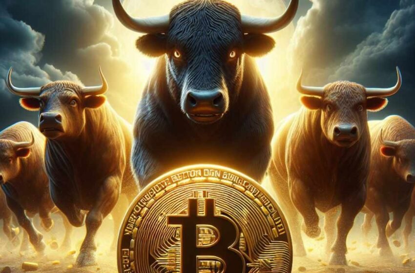  Bitwise Sees ‘Raging’ Bitcoin Bull Market — Expects April Halving to Be ‘the Most Impactful We’ve Seen”