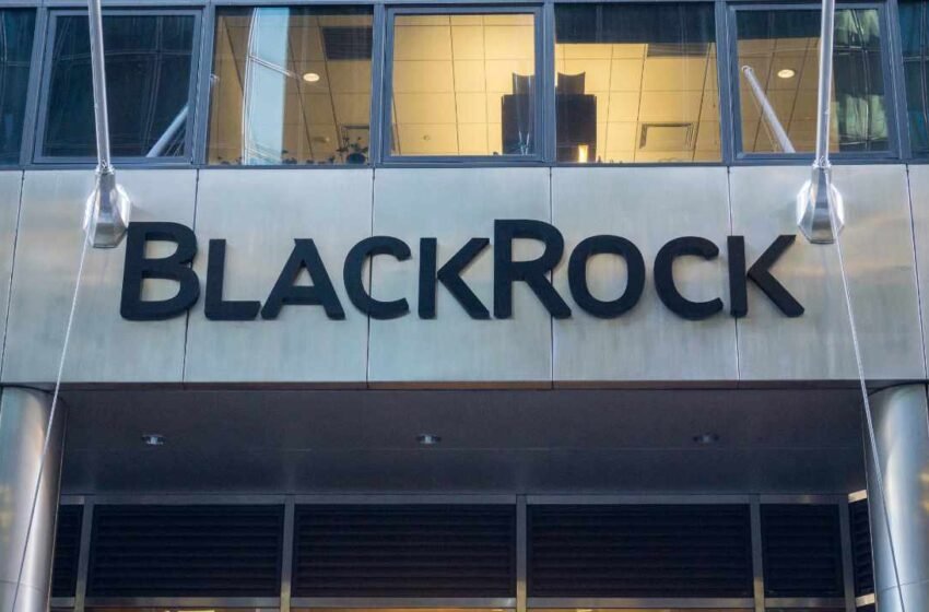  Blackrock’s Spot Bitcoin ETF Holdings Near 204K BTC as Demand Soars