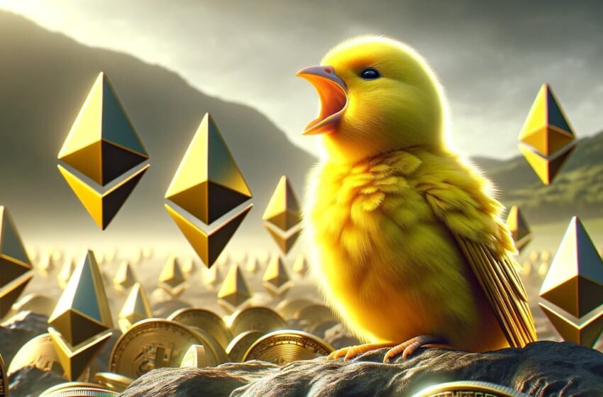  Ethereum Foundation Receives Confidential State Inquiry, Removes Warrant Canary Icon From Github Repo