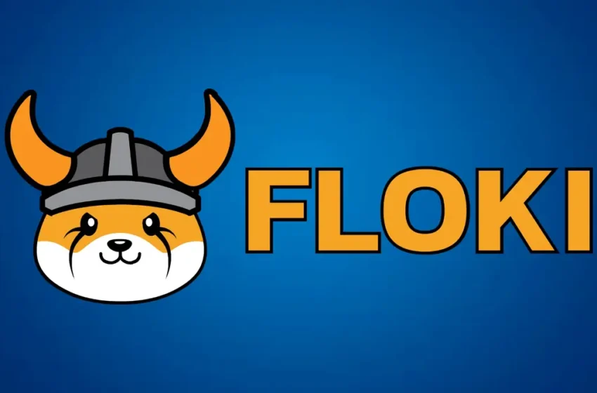  Floki to Introduce Digital Banking and Debit Card Services