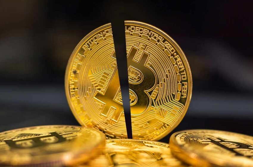  JPMorgan Expects Bitcoin Price to Drop to $42K After Halving