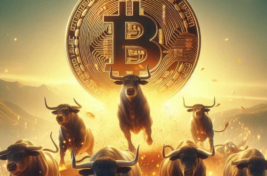  Peter Brandt on Bitcoin Bull Market: My Bet Is This Is a ‘Starting’ Candle
