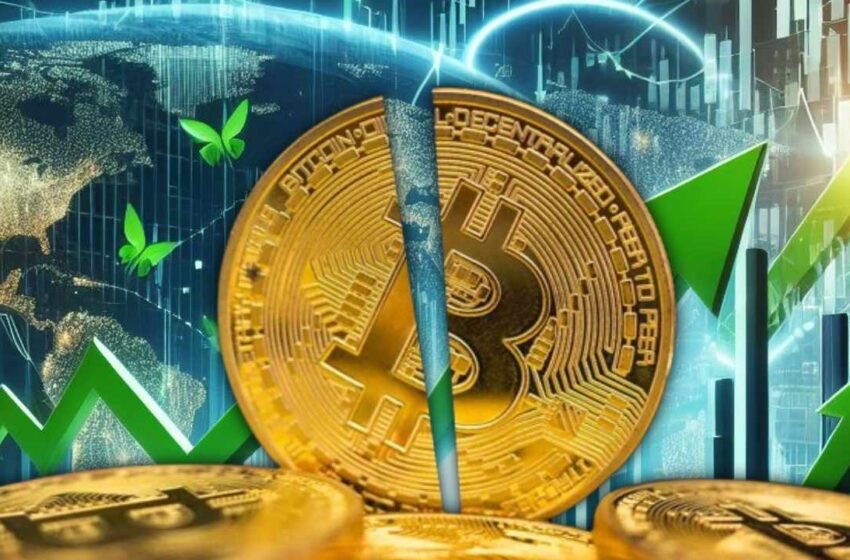  Peter Schiff Downplays Importance of Bitcoin Halving — Discusses ‘What Matters Most’ for BTC Price