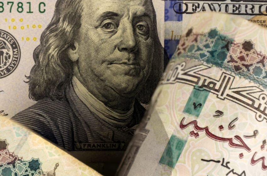  Egypt Devalues Currency, Raises Interest Rates to Fulfill Key IMF Aid Requirement