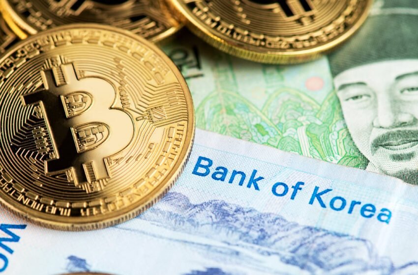  South Korea’s Bitcoin Premium Hits 2-Year High, Surpassing Global Rates by $4K 
