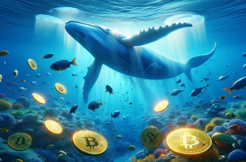  Mega Whale Moves 2,000 Dormant Bitcoins From 2010 in Third Series of Transfers This Month