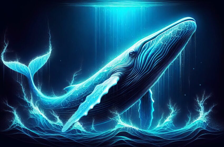  The Tale of the Mysterious 2010 Bitcoin Whale: A Pattern of Consistent Liquidation Uncovered