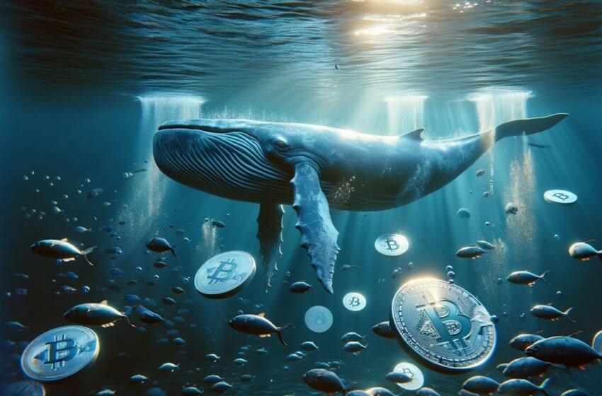  Satoshi Era Mega Whale Stirs, Shifts a String of 2,000 Vintage Bitcoins in a Single Block Worth $123M