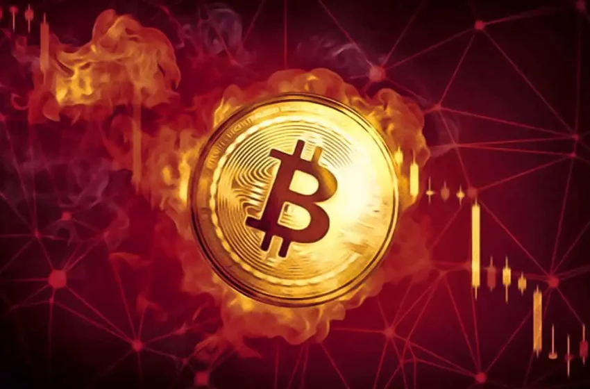  Bitcoin Halving Occurs At 00:09 UTC, Brings Spike in Transaction Fees