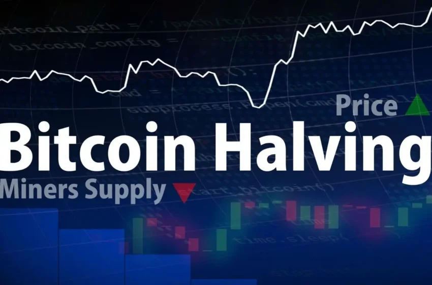  Glassnode Delivers Analysis on Institutional Influence To Influence Price Action During Bitcoin Halving
