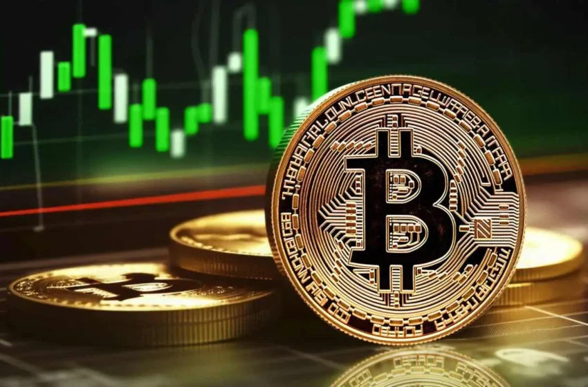  Dan Morehead Tells Investors Crypto Is Still Cheap