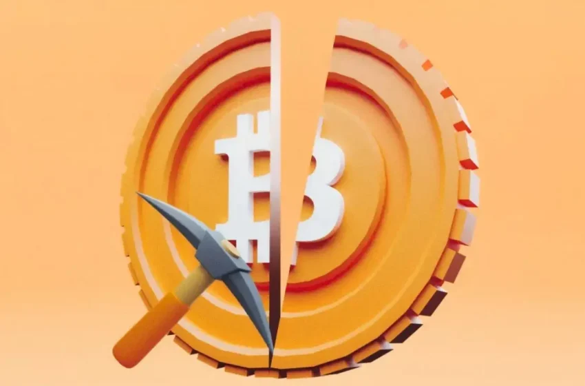  Bitcoin Miner CEOs Anticipate Mergers, Remain Bullish Despite Halving Uncertainty