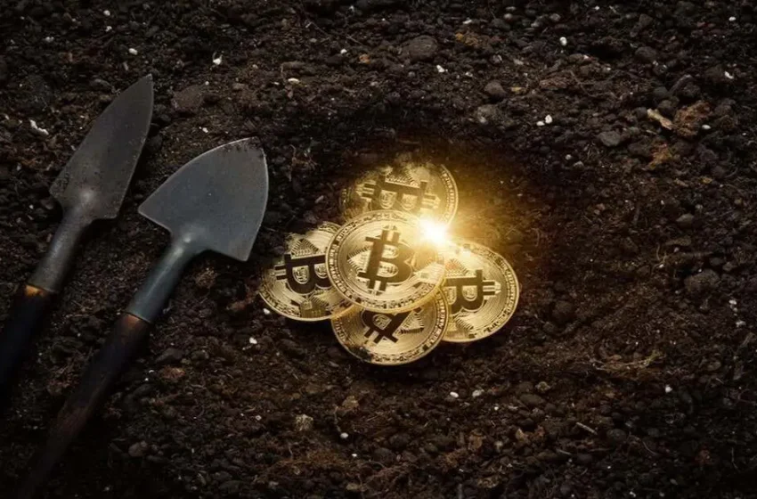  Bhutan and Bitdeer’s Bitcoin Mining Expansion Ahead of Halving Concerns