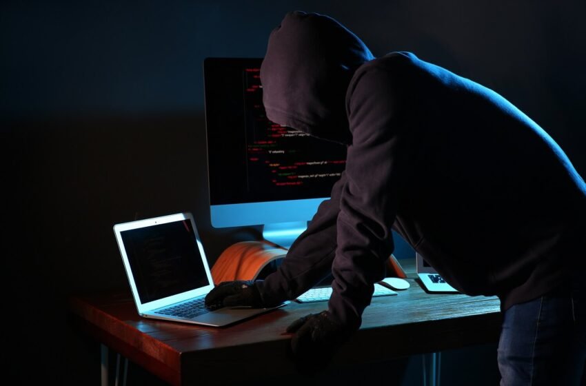  Bitbot gains as Ape Terminal cancels ZKasino IDO