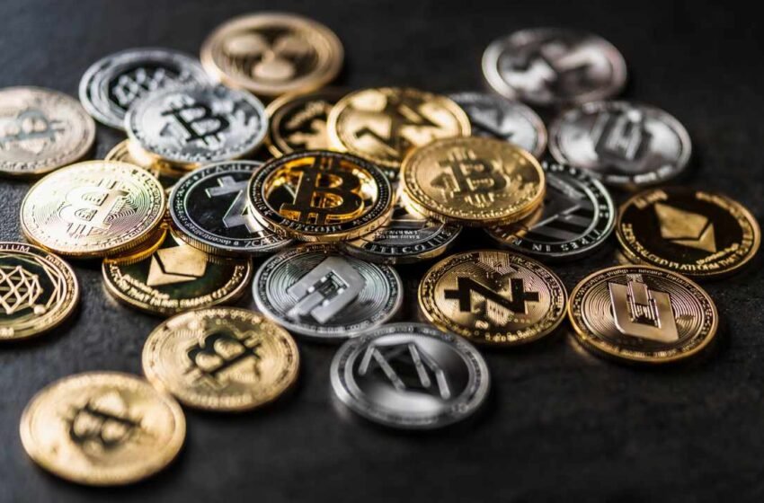  Goldman Sachs Wealth Management CIO: Crypto Is Not an Investment Asset Class