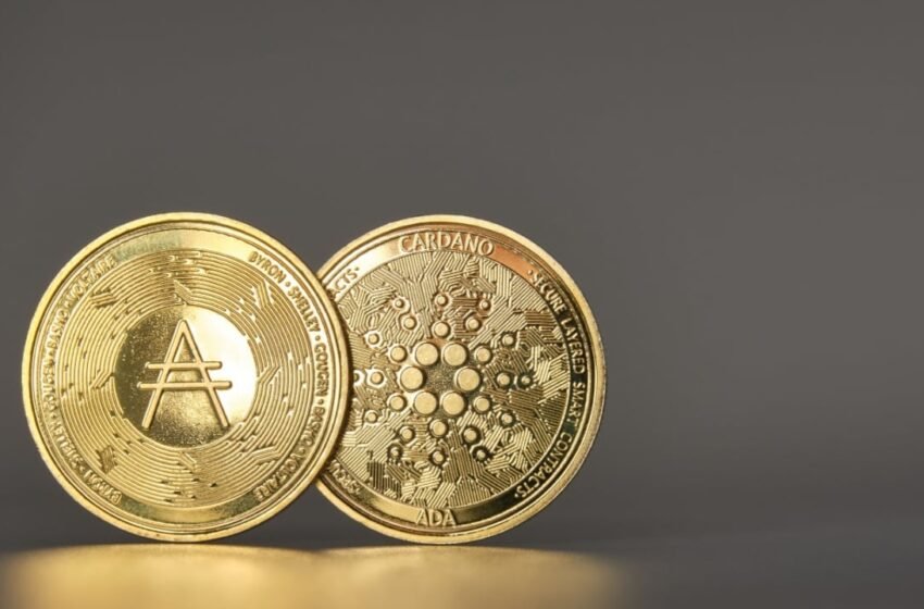  Charles Hoskinson Criticizes Cardano ‘Dunking,’ Expresses Concern Over ‘Carnival Barkers’ Dominance