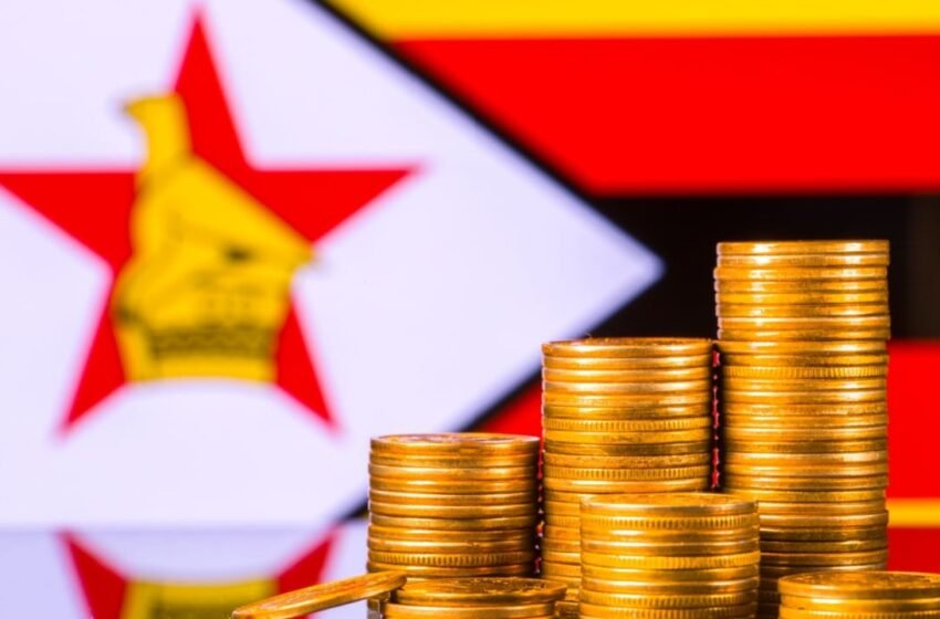  Zimbabwe’s Central Bank Launches Gold-and Forex-Backed ‘Structured Currency’